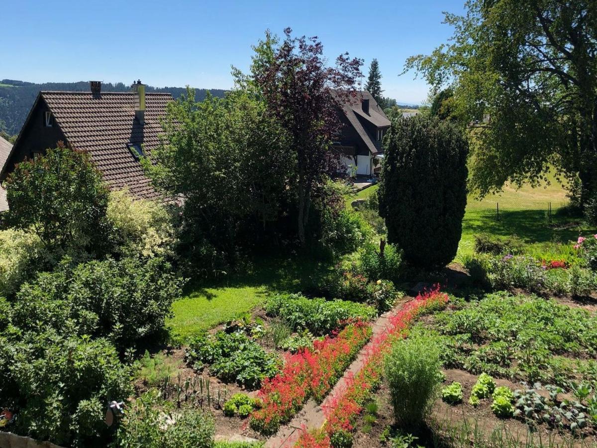 Appartement Haus Jurisch à Urberg Extérieur photo